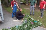 sv hdb 2019 kinderkoenig ehrenpforte schmuecken 20191006 002