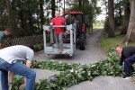 sv hdb 2019 kinderkoenig ehrenpforte schmuecken 20191006 005