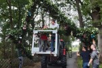 sv hdb 2019 kinderkoenig ehrenpforte schmuecken 20191006 006